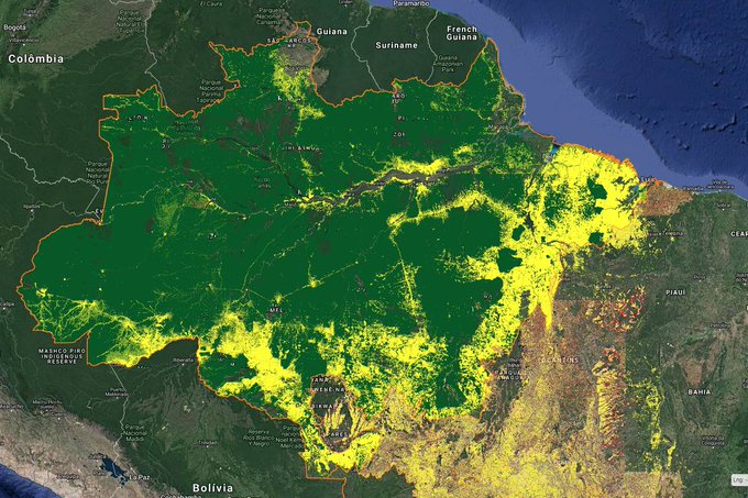 Queimadas na Amazônia estão longe de serem histeria, diz Serafim