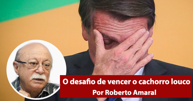 O desafio de vencer o cachorro louco