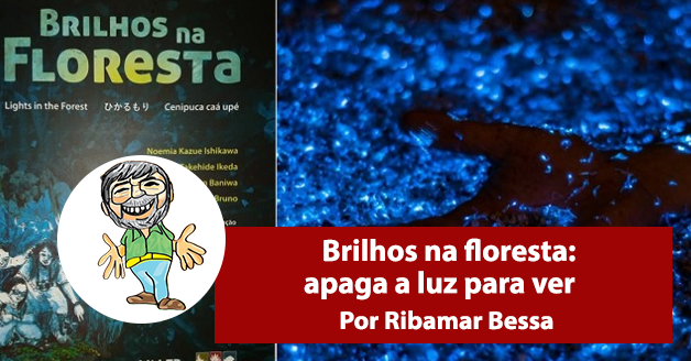 Brilhos na floresta: apaga a luz para ver