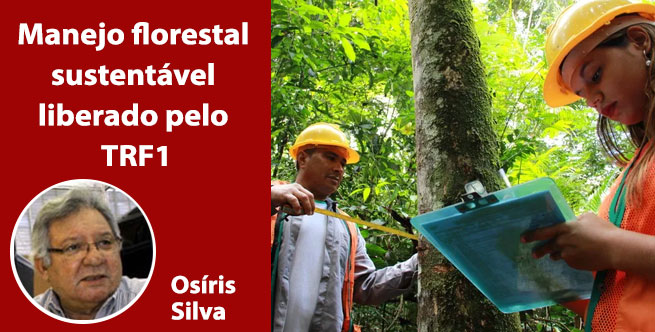 Manejo florestal sustentável liberado pelo TRF1