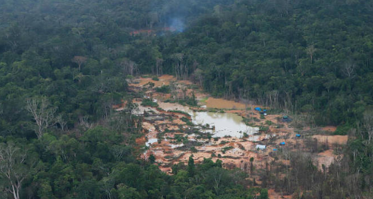 Brasil alimenta o mundo preservando o meio ambiente, diz Guedes