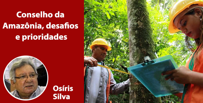 Conselho da Amazônia, desafios e prioridades