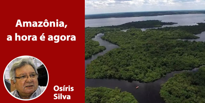 Amazônia, a hora é agora