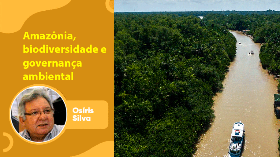 Amazônia, biodiversidade e governança ambiental