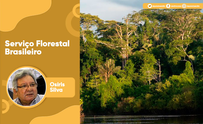 Serviço Florestal Brasileiro