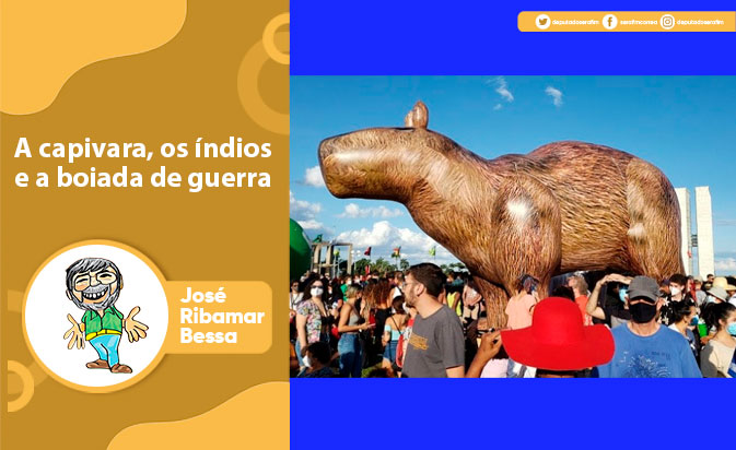 A capivara, os índios e a boiada de guerra