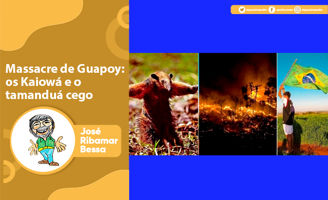 Massacre de Guapoy: os Kaiowá e o tamanduá cego