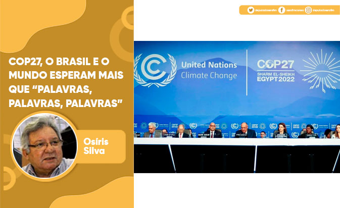 COP27, O BRASIL E O MUNDO ESPERAM MAIS QUE “PALAVRAS, PALAVRAS, PALAVRAS”